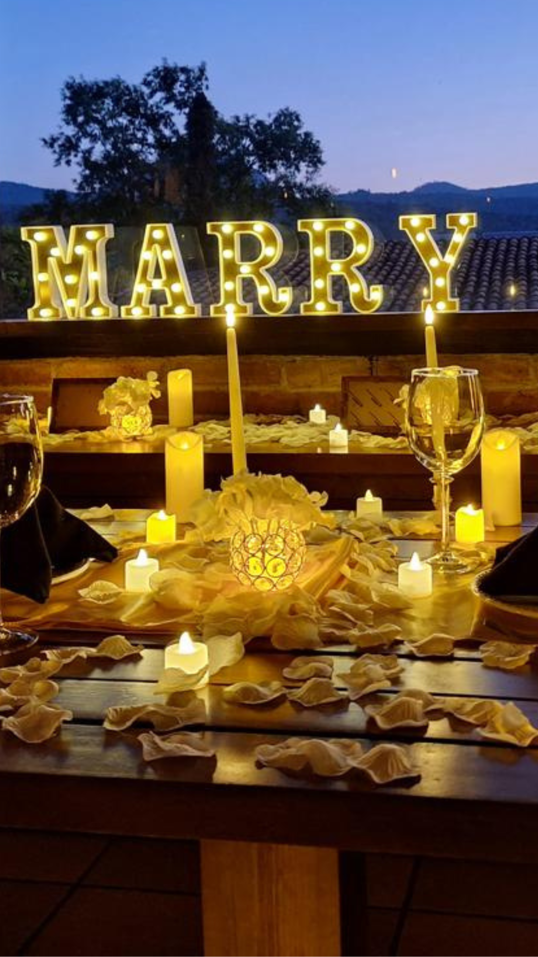 Cena romántica Orgánico