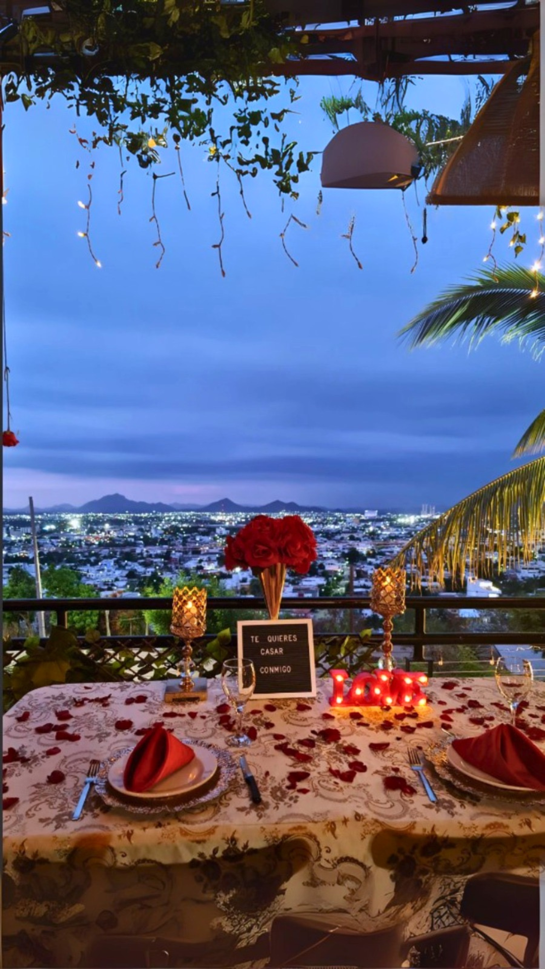 Cena privada Terraza Culiacán