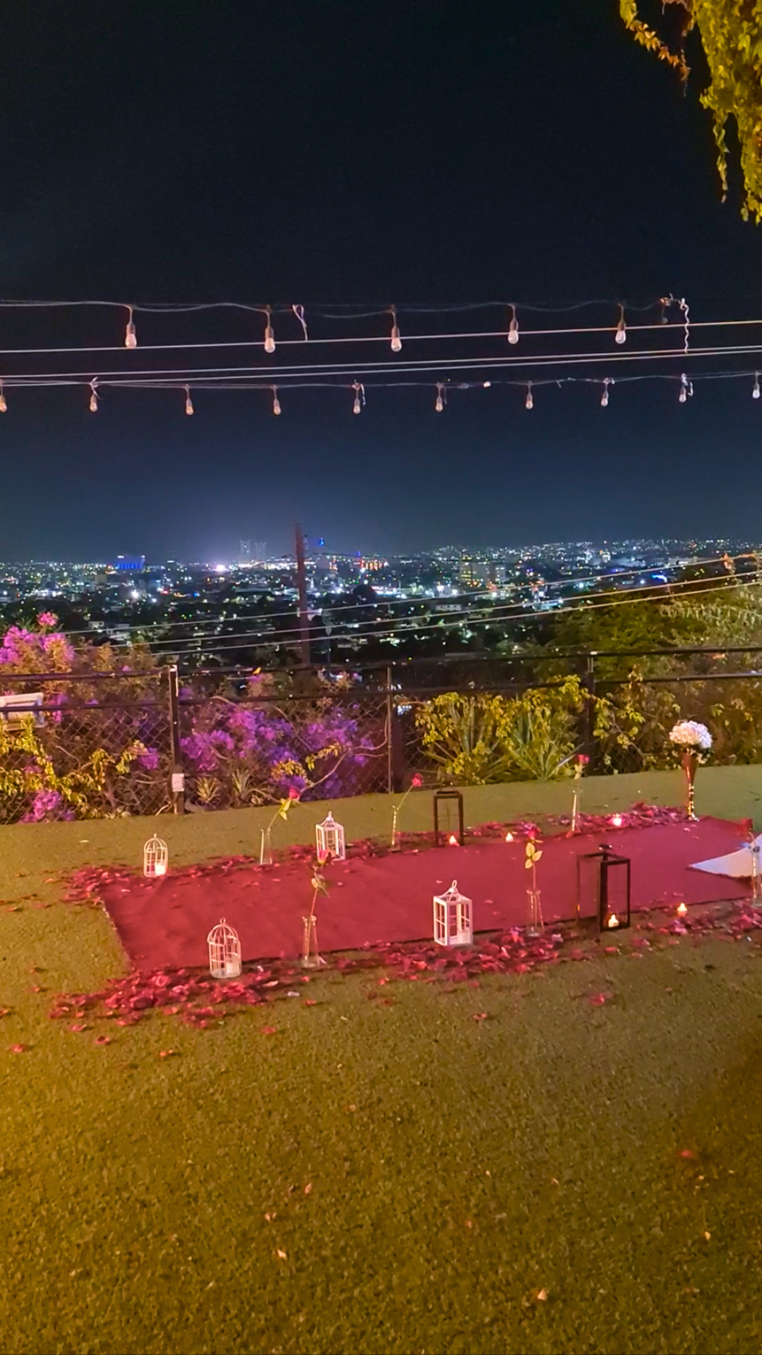 Cena privada Jardín Culiacán