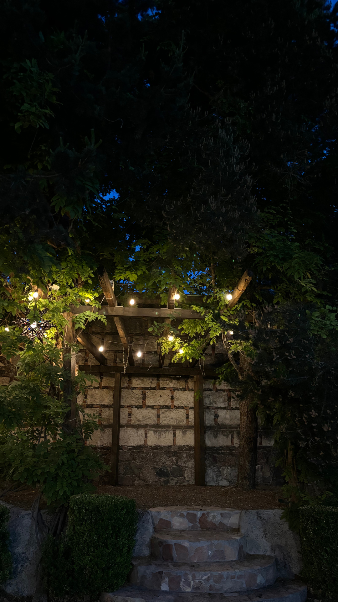 Cena privada Arbolada San Miguel de Allende