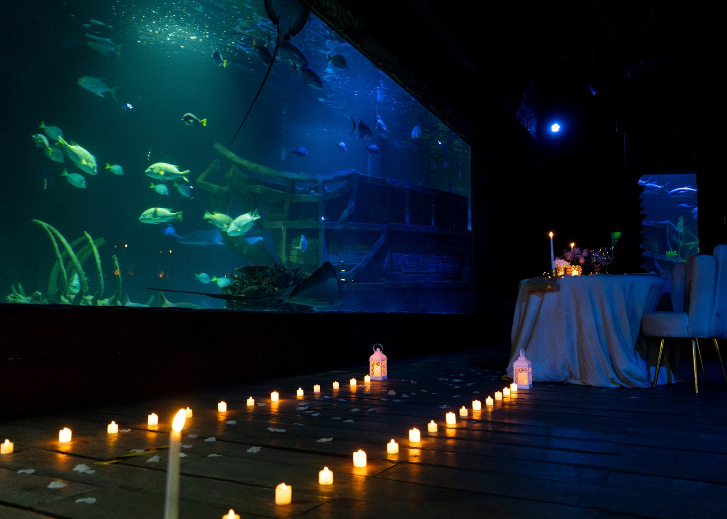 Cena privada Acuario León