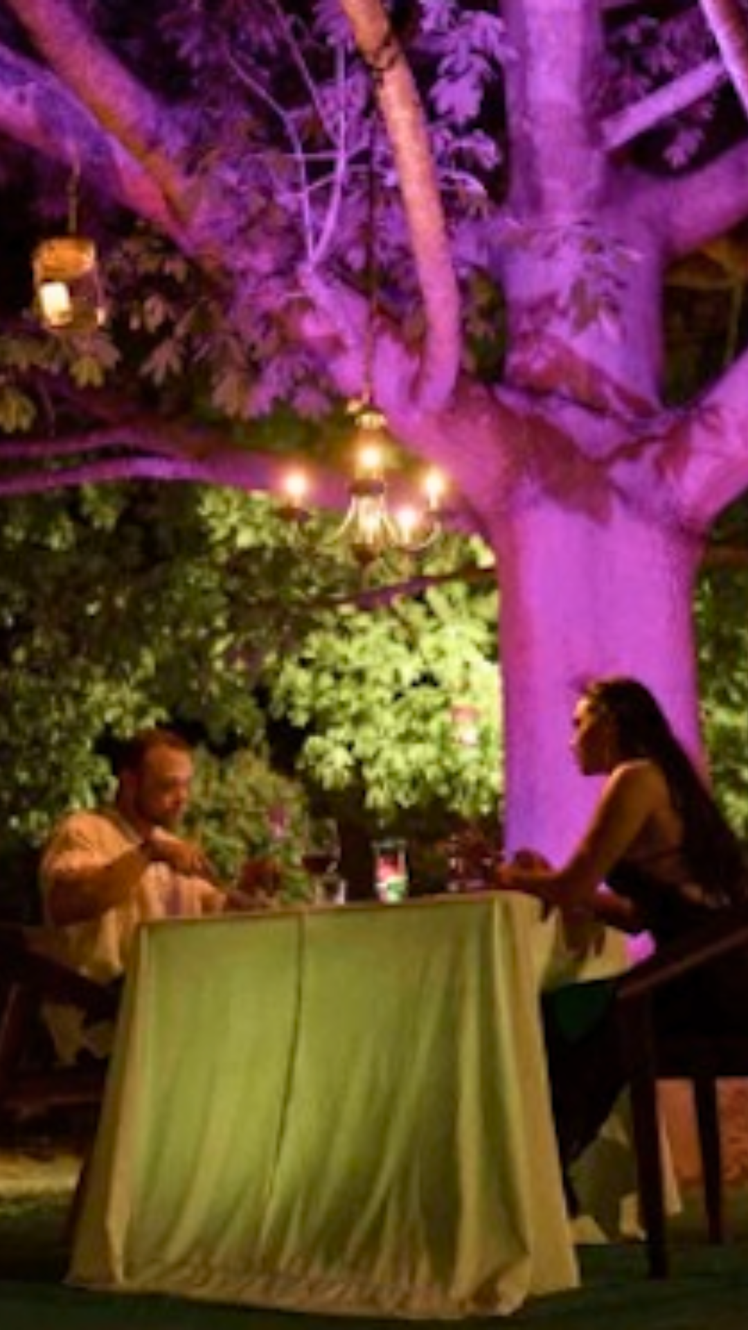 Cena privada Árbol Sagrado Mérida