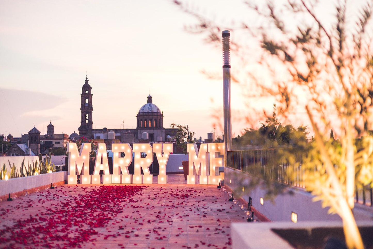 Propuesta de matrimonio GDL