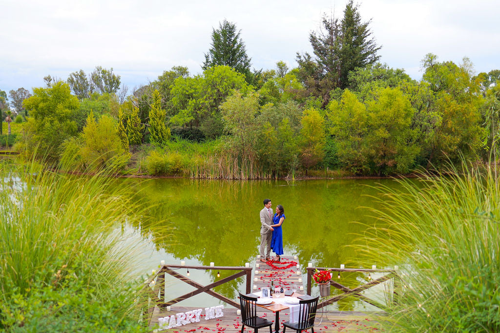 cena privada viñedo