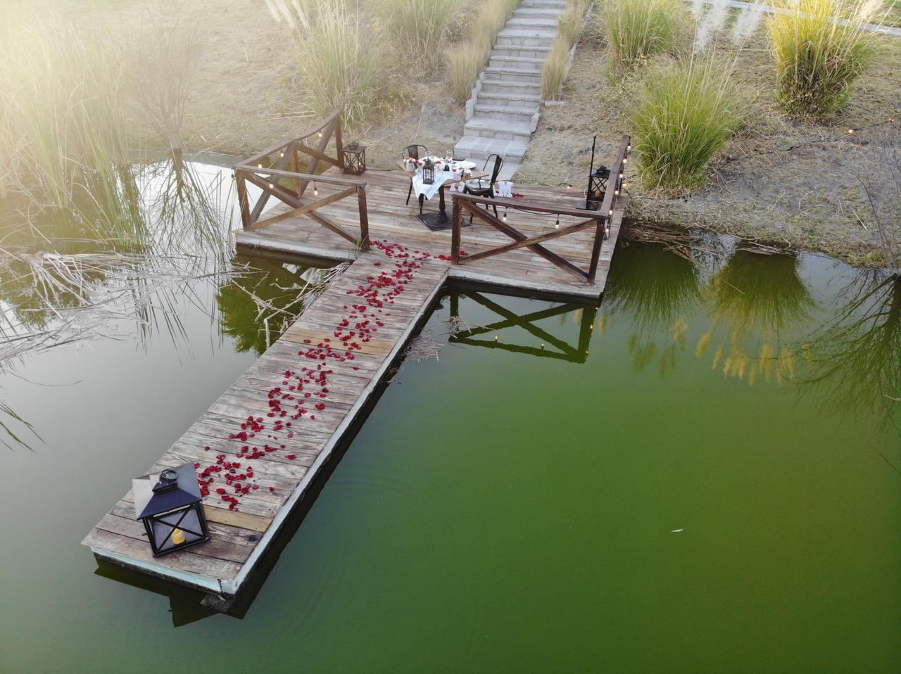 propuesta de matrimonio en viñedo