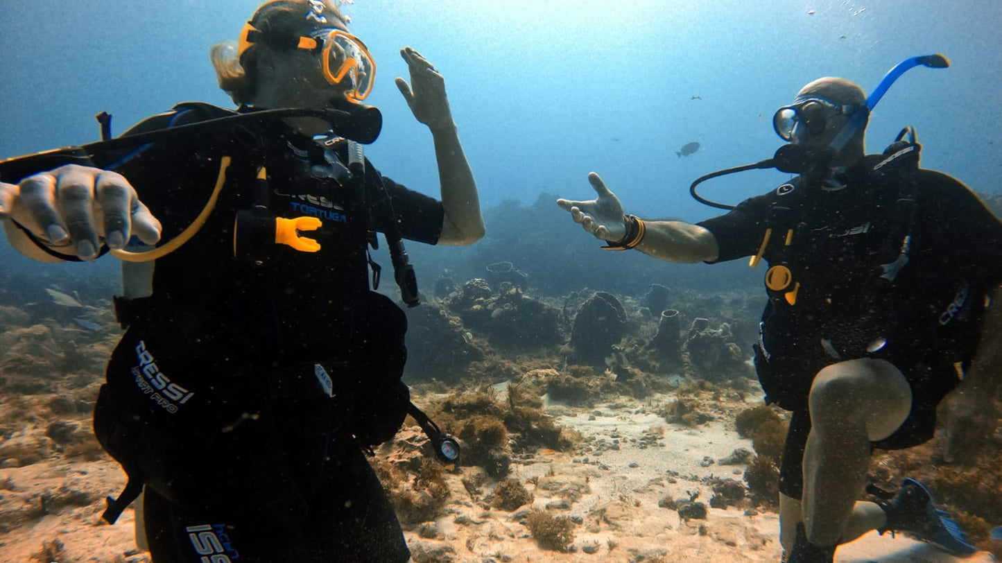 Propuesta con buceo Cancún