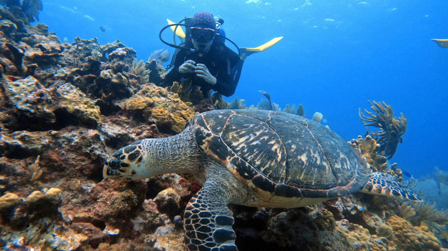 Pedida de mano en cancun
