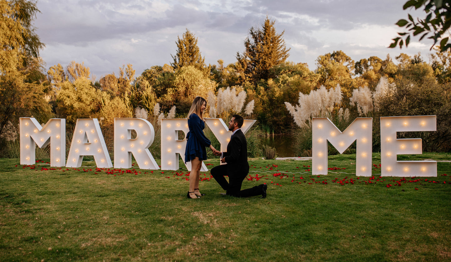 propuesta de matrimonio en viñedo