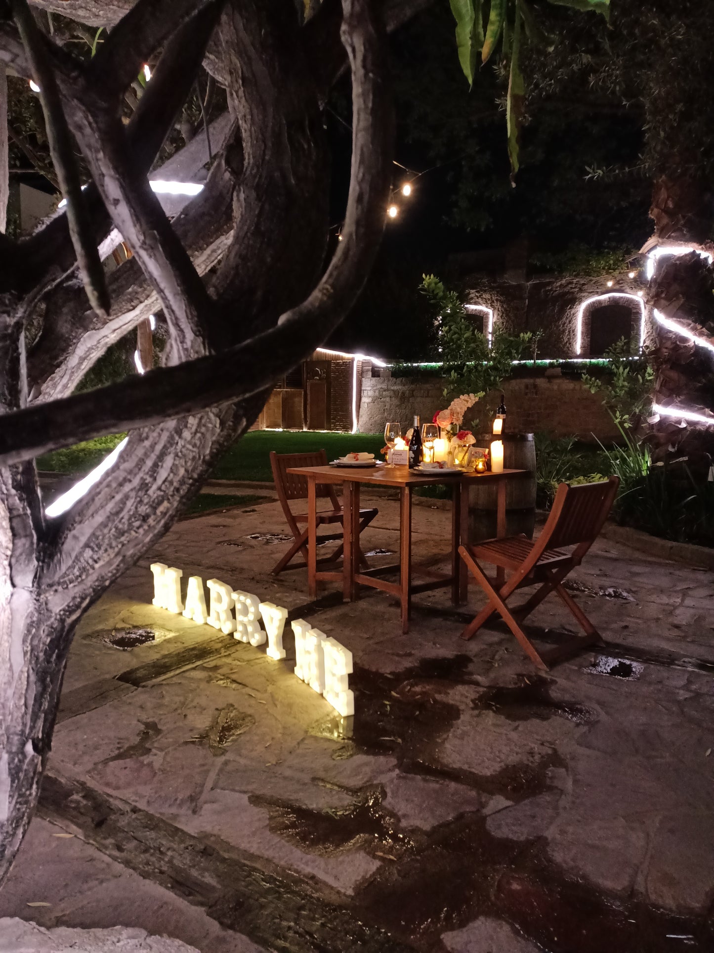 Cena privada Jardín SLP