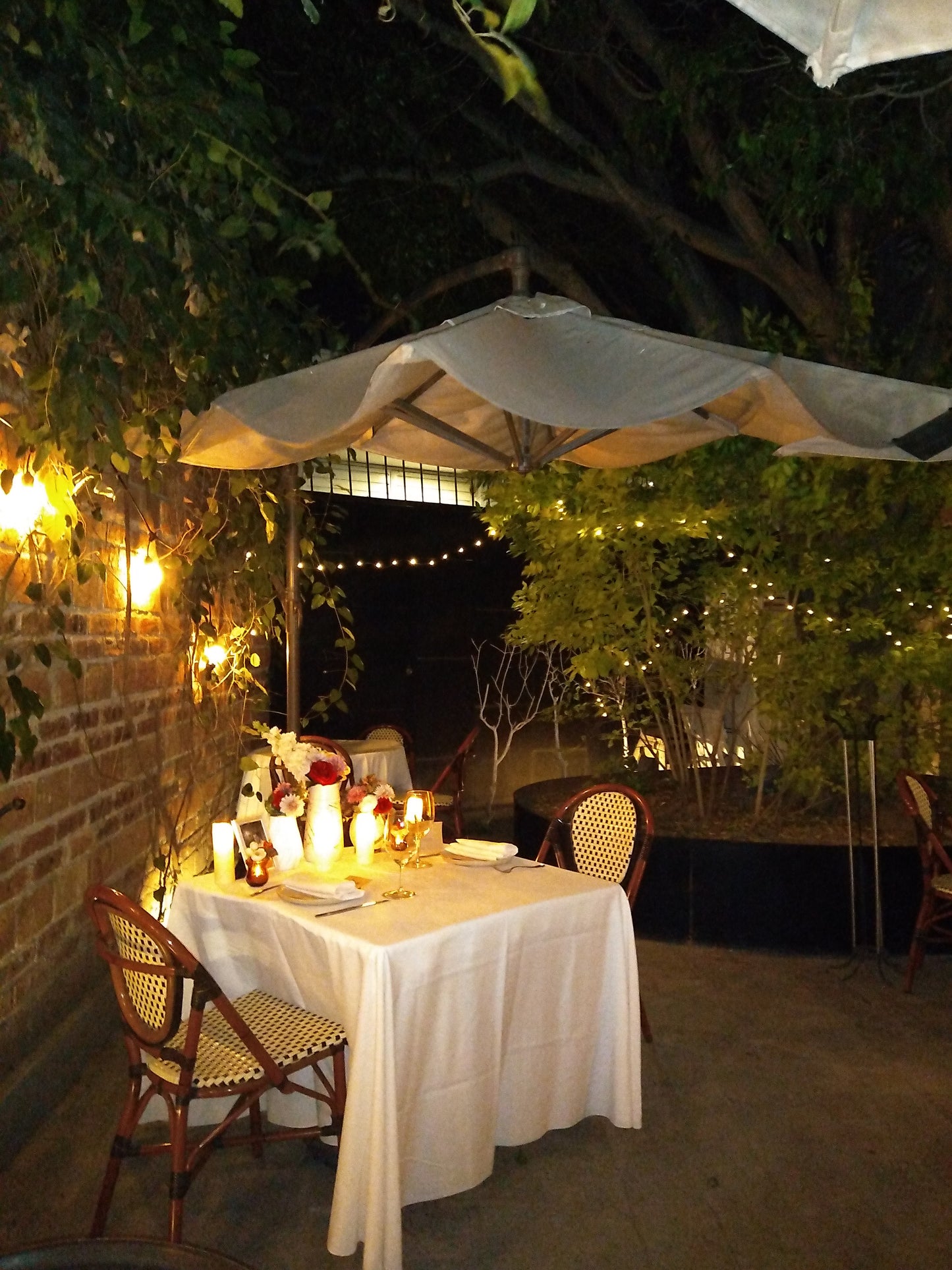 Cena al aire libre en León Gto