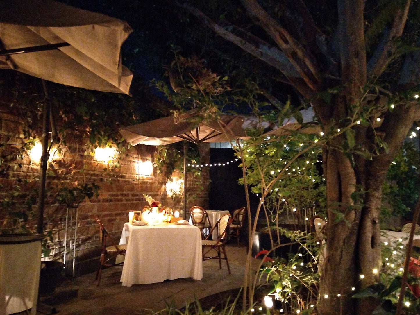 Cena al aire libre en León Gto