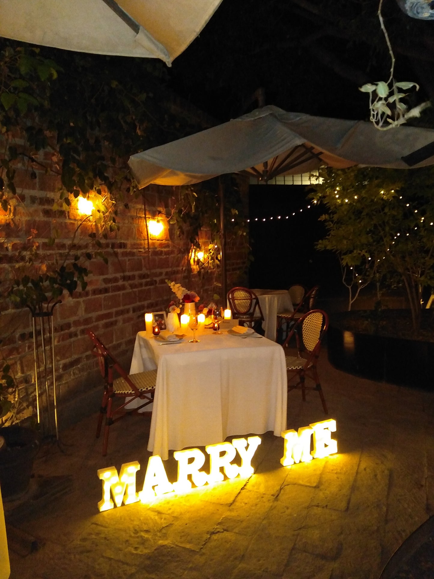 Cena al aire libre en León Gto