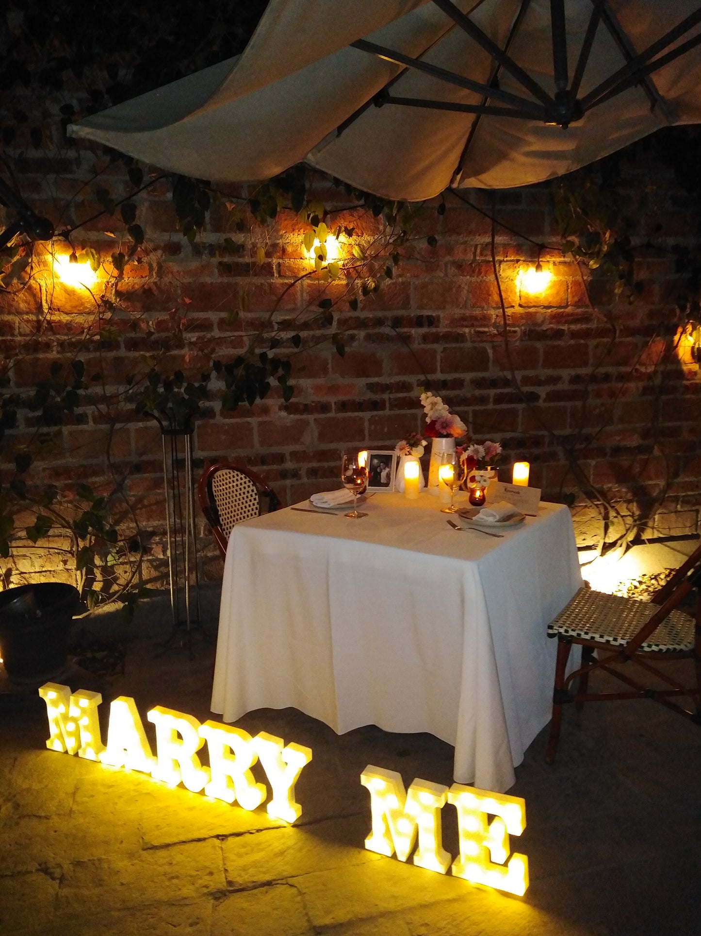 Cena al aire libre en León Gto