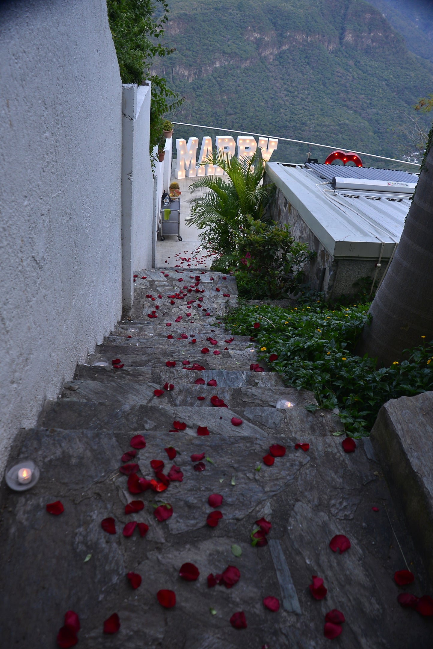 Cena privada Mirador Guadalajara