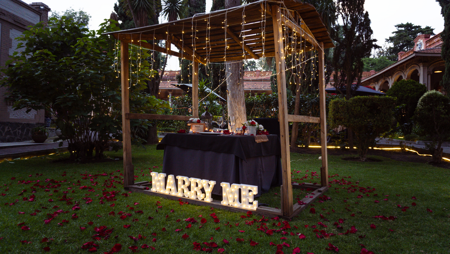 Cita romántica al aire libre CDMX