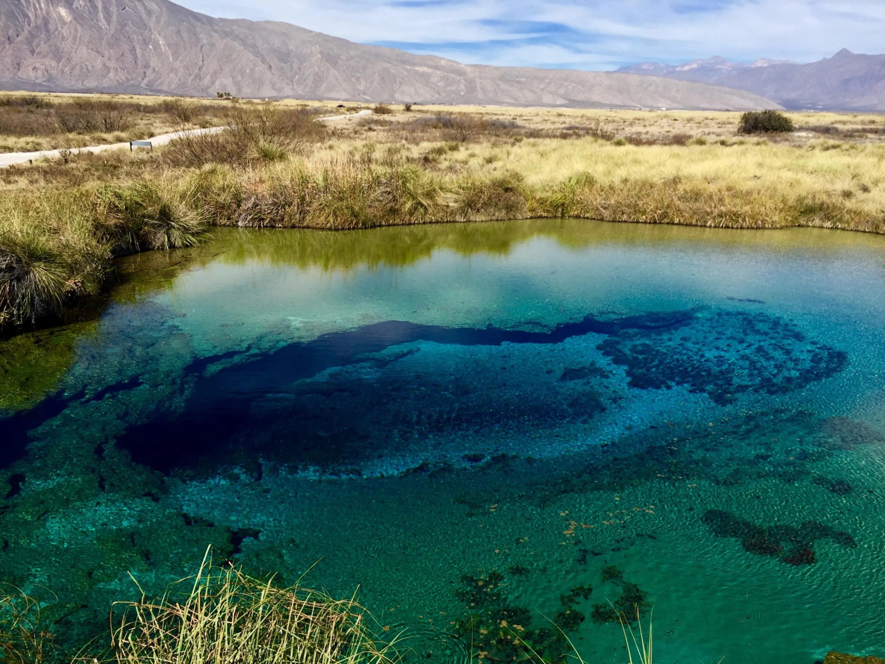 Cuatro Ciénegas