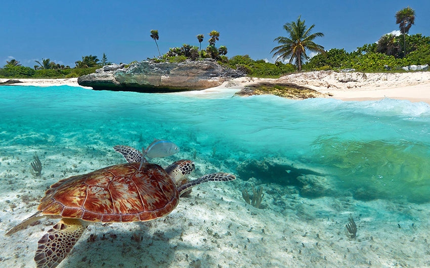 Riviera maya