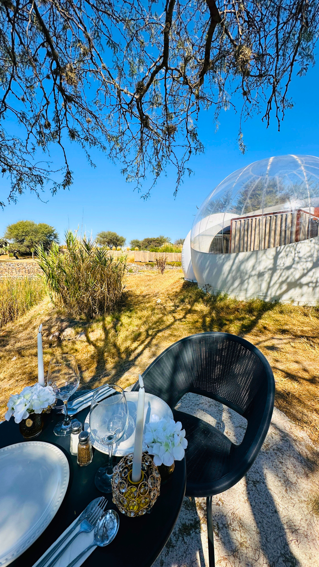 Brindis privado en Burbuja