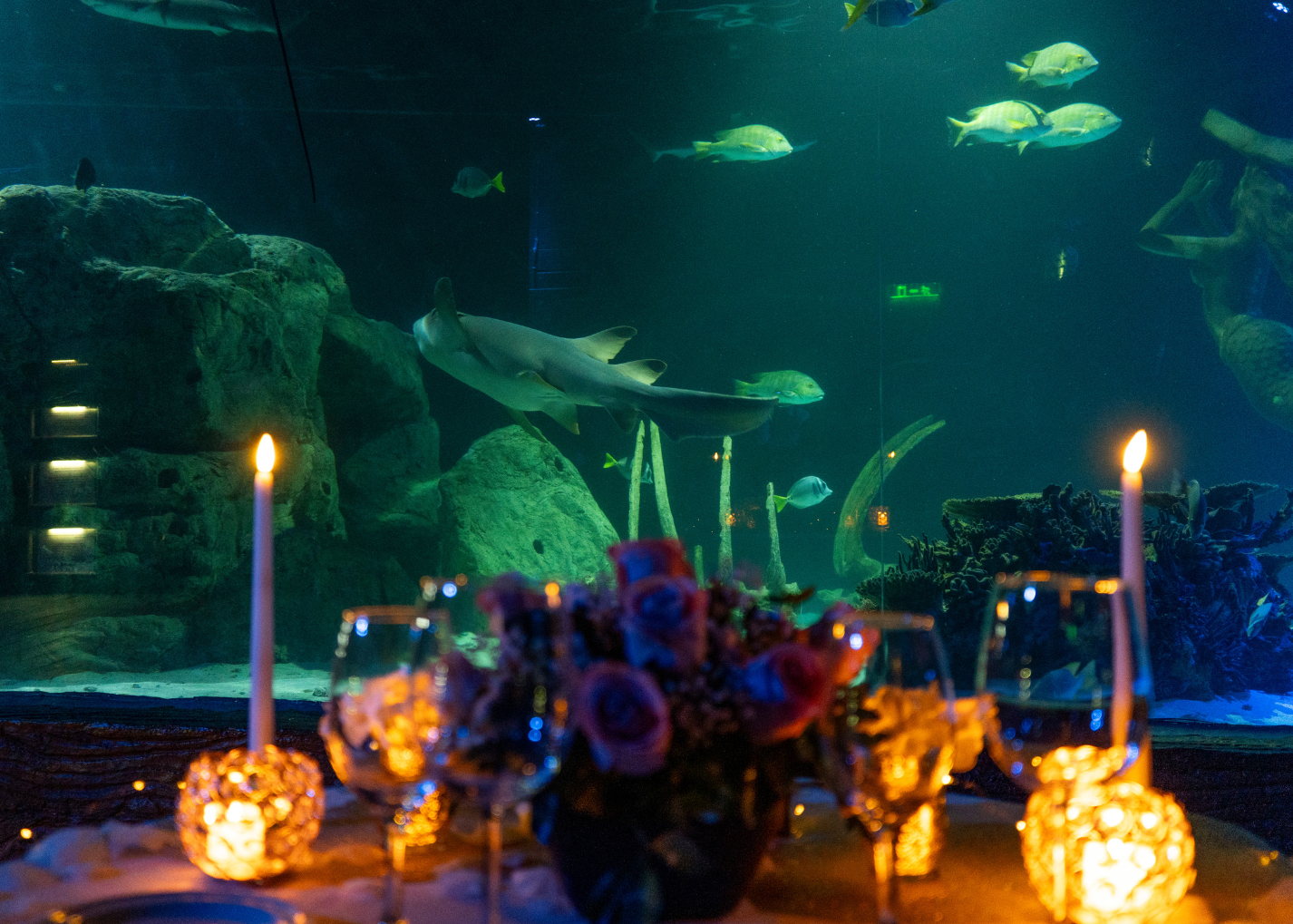 Cena privada Acuario León