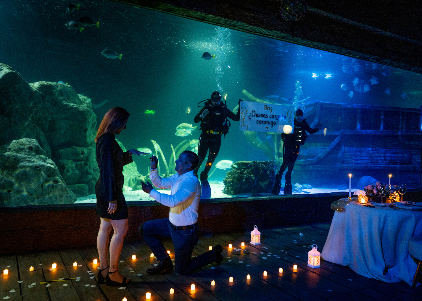 Cena privada Acuario León