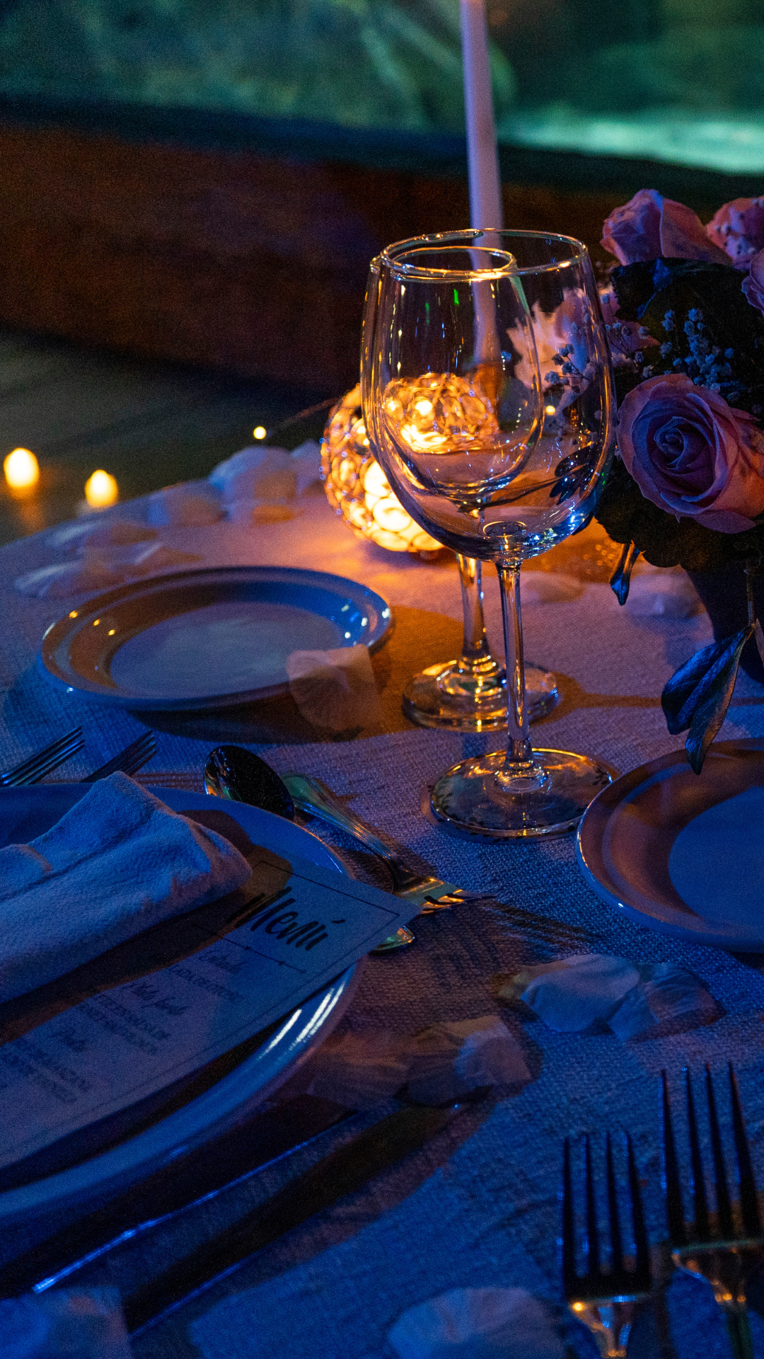 Cena privada Acuario León
