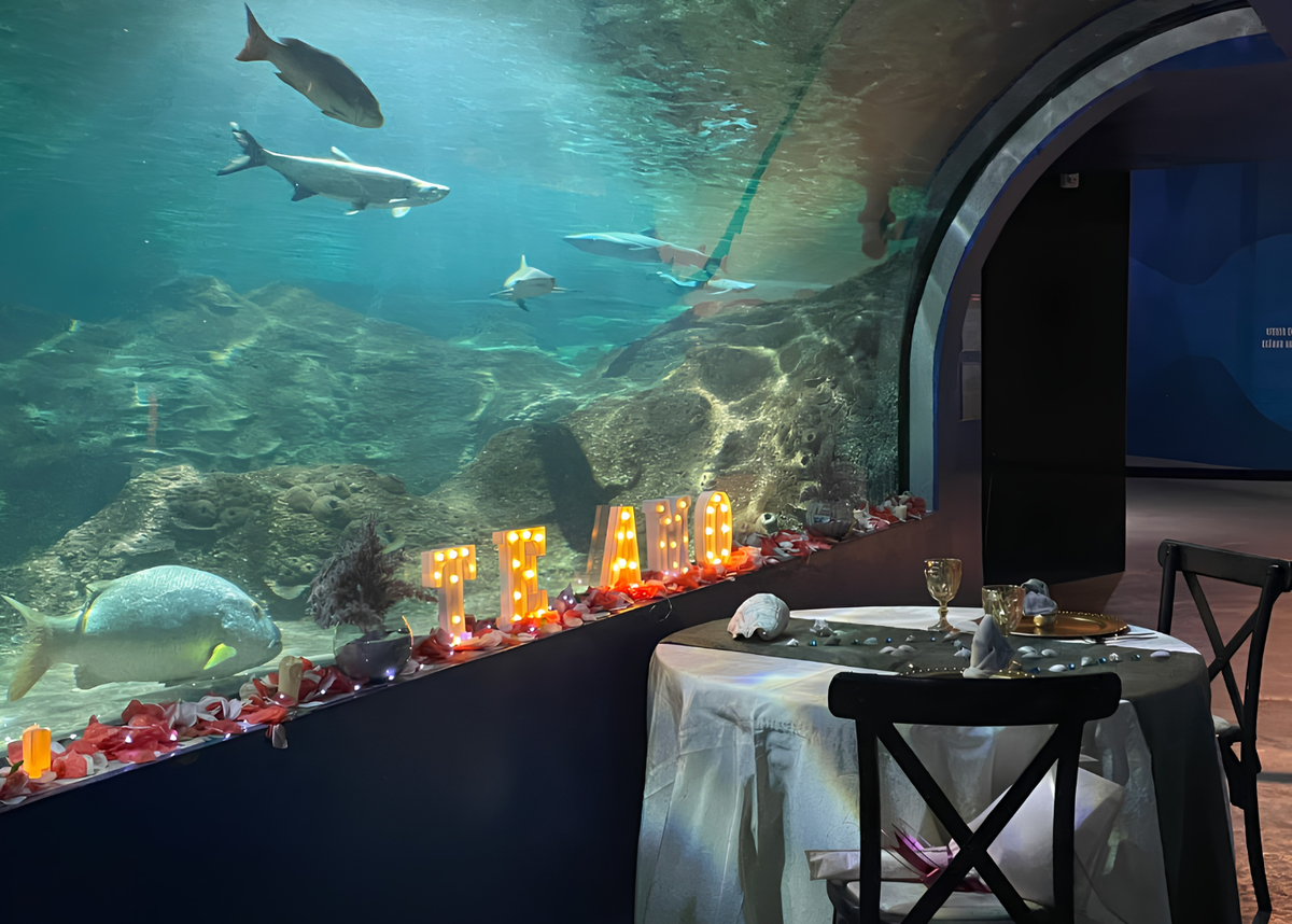 Cena Privada Acuario Puebla
