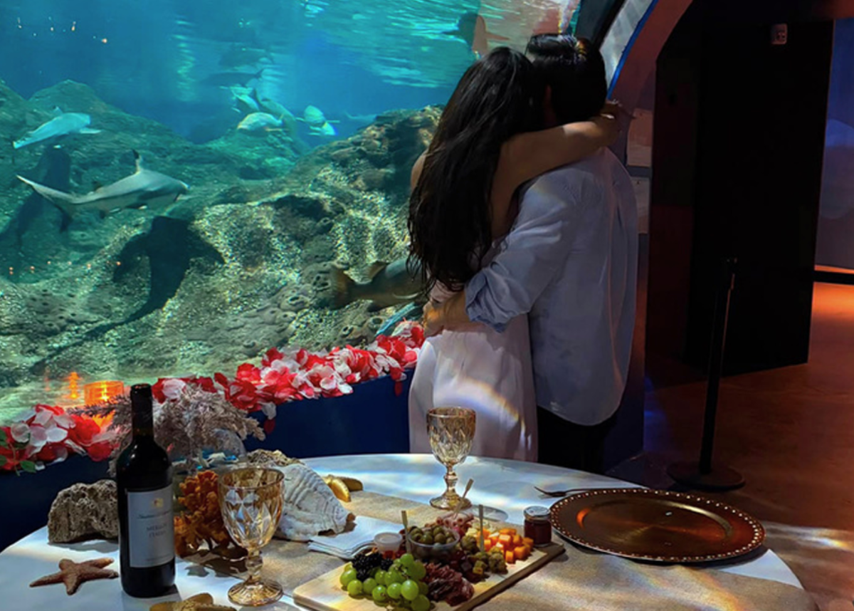 Cena Privada Acuario Puebla