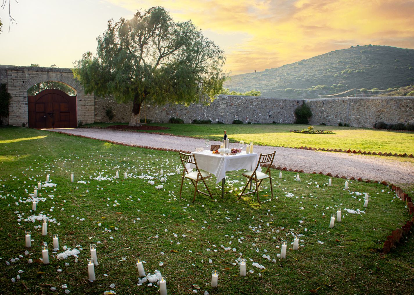 Brindis Privado Arbolada Pachuca