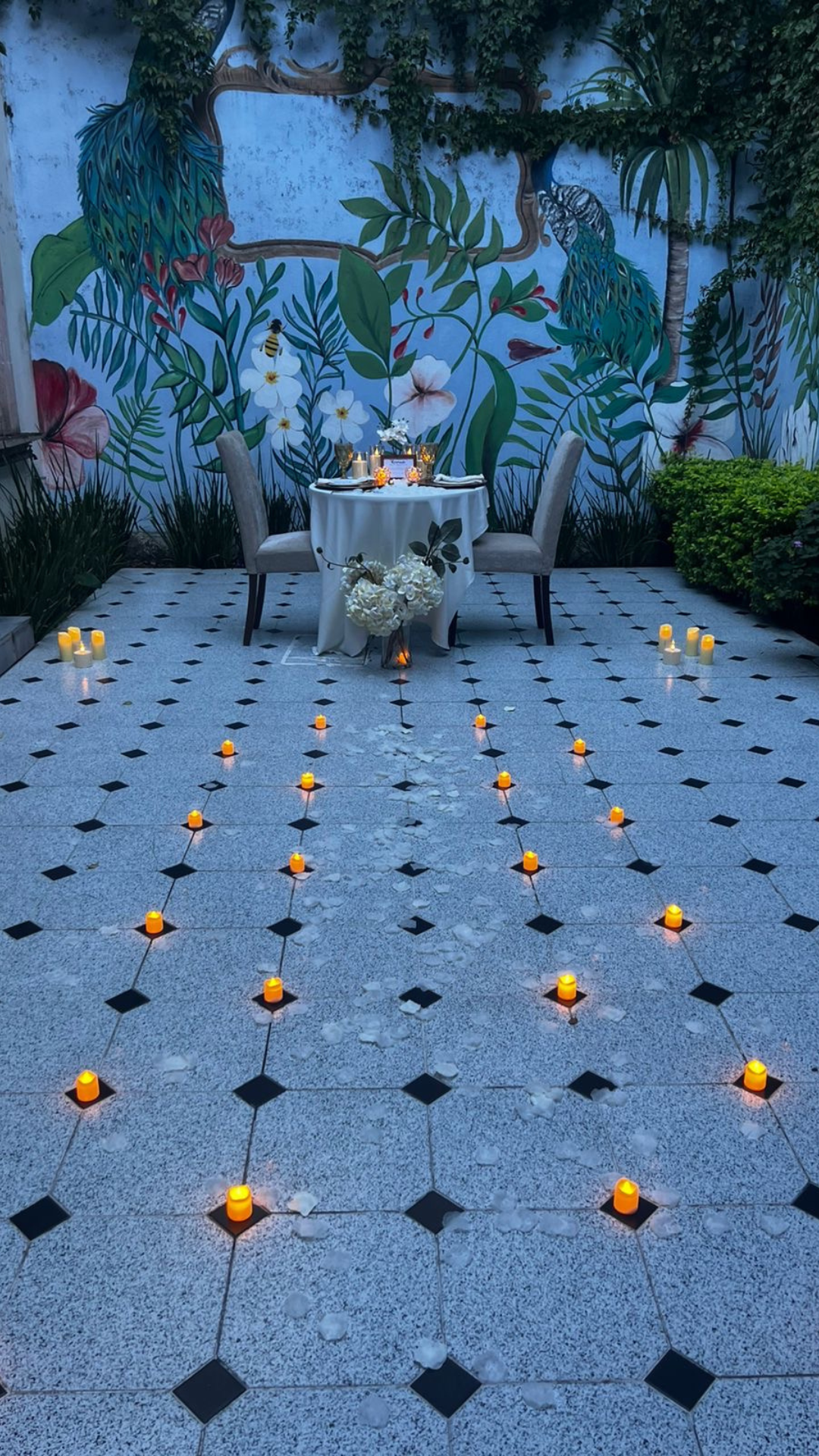 Cena Privada Patio Aguascalientes