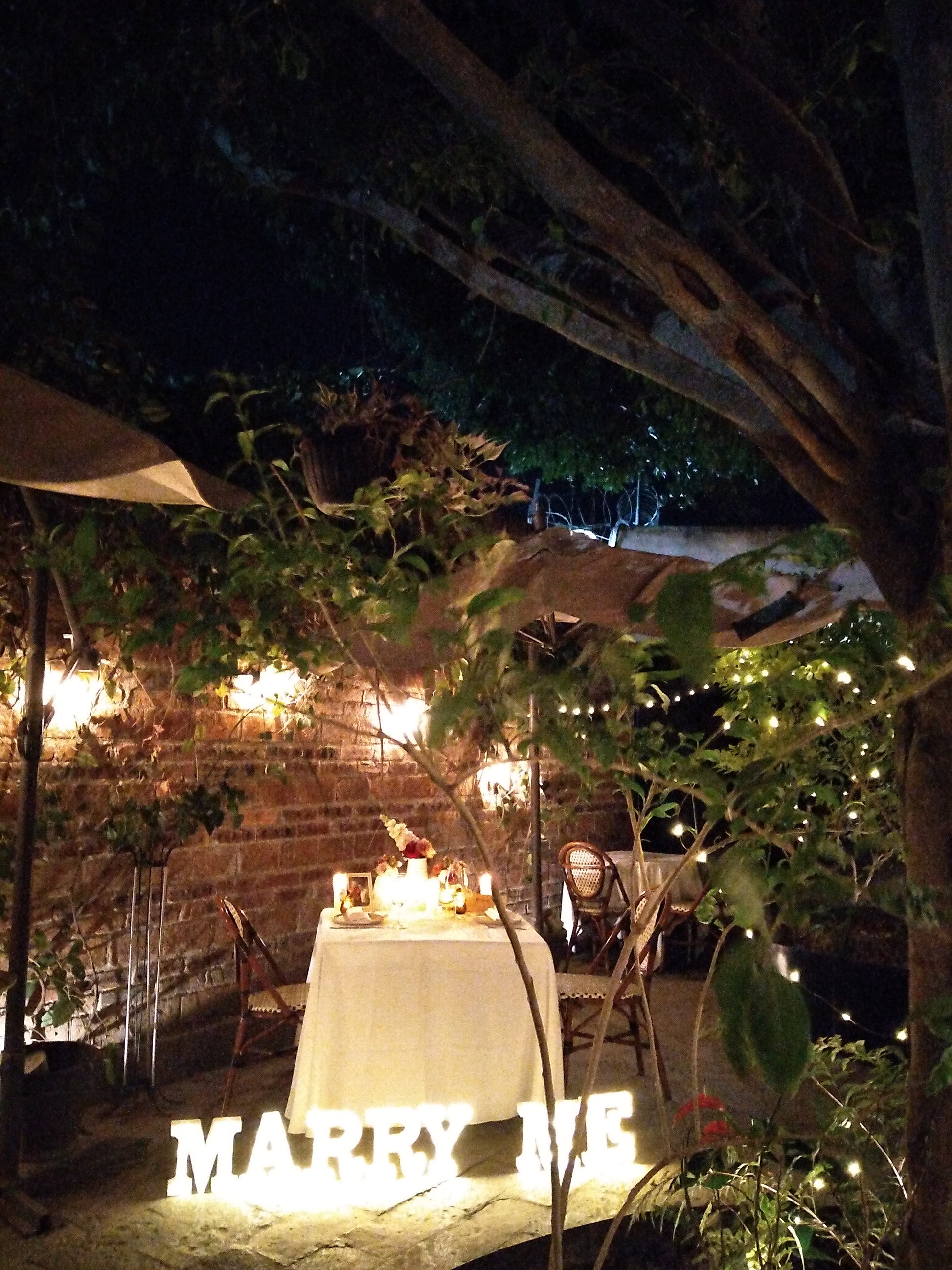 Cena al aire libre en León Gto