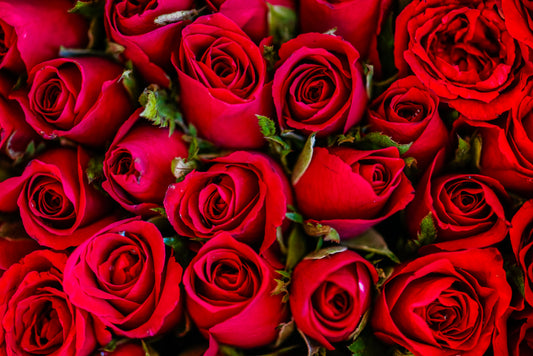 Ramo de 24 rosas Monterrey